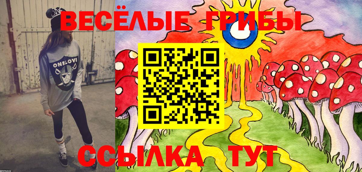 Псилоцибиновые грибы Psilocybine cubensis Тольятти